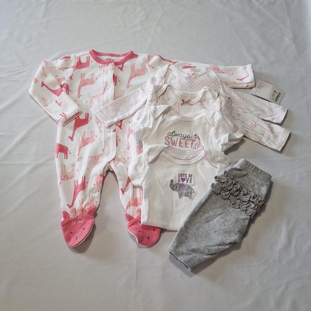 Baby Girl 6 Piece Bundle with Pink and Gray Accents